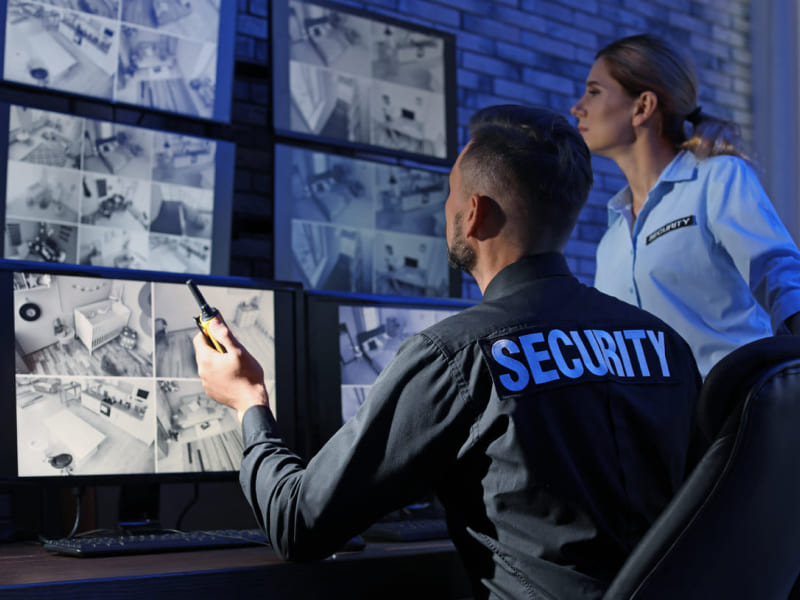 Автономная охранная система VS Охранная система для недвижимости от Цезарь Сателлит